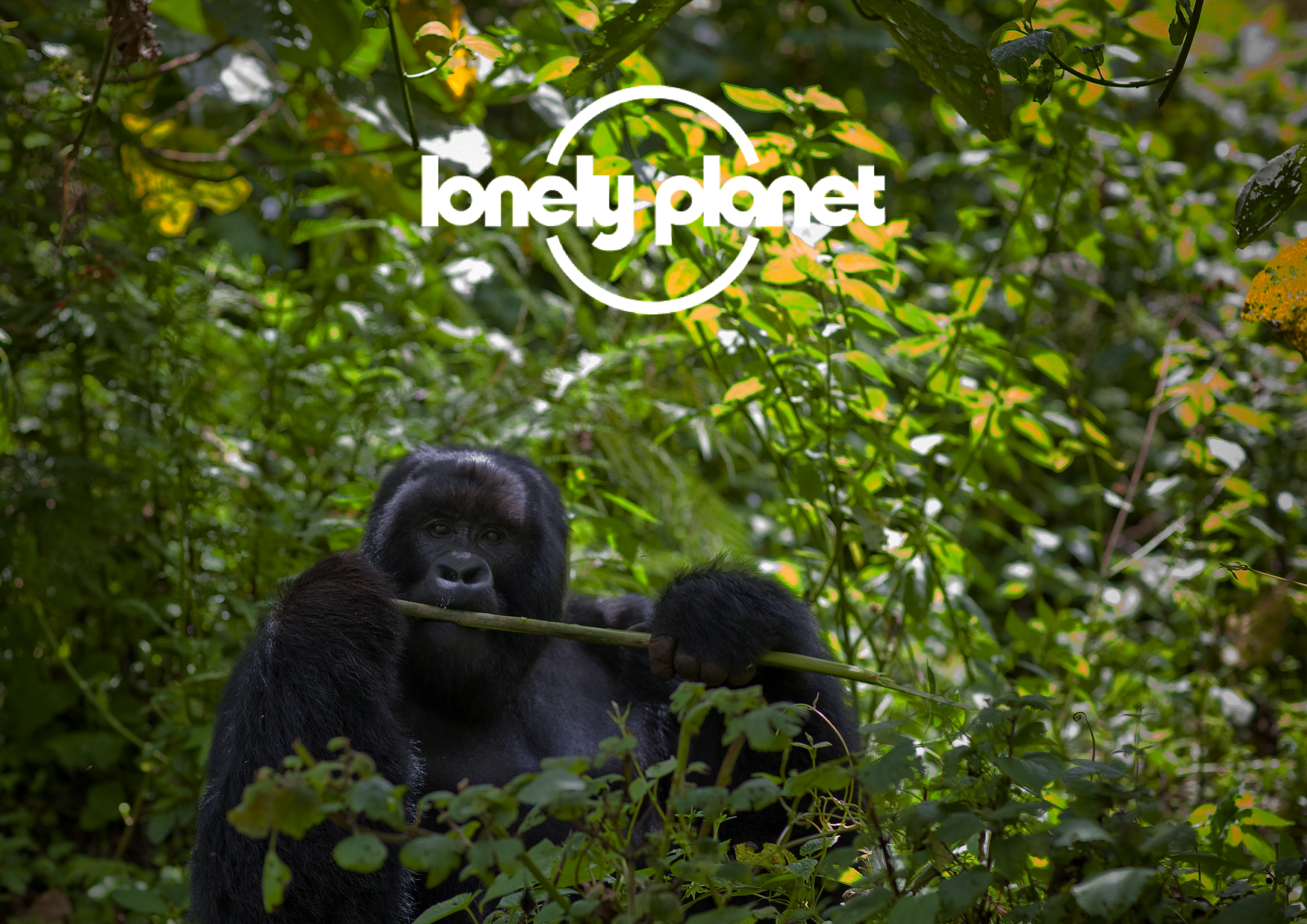 Gosh PR Supports 2nd Lonely Planet Campaign – Best in Travel 2021 List