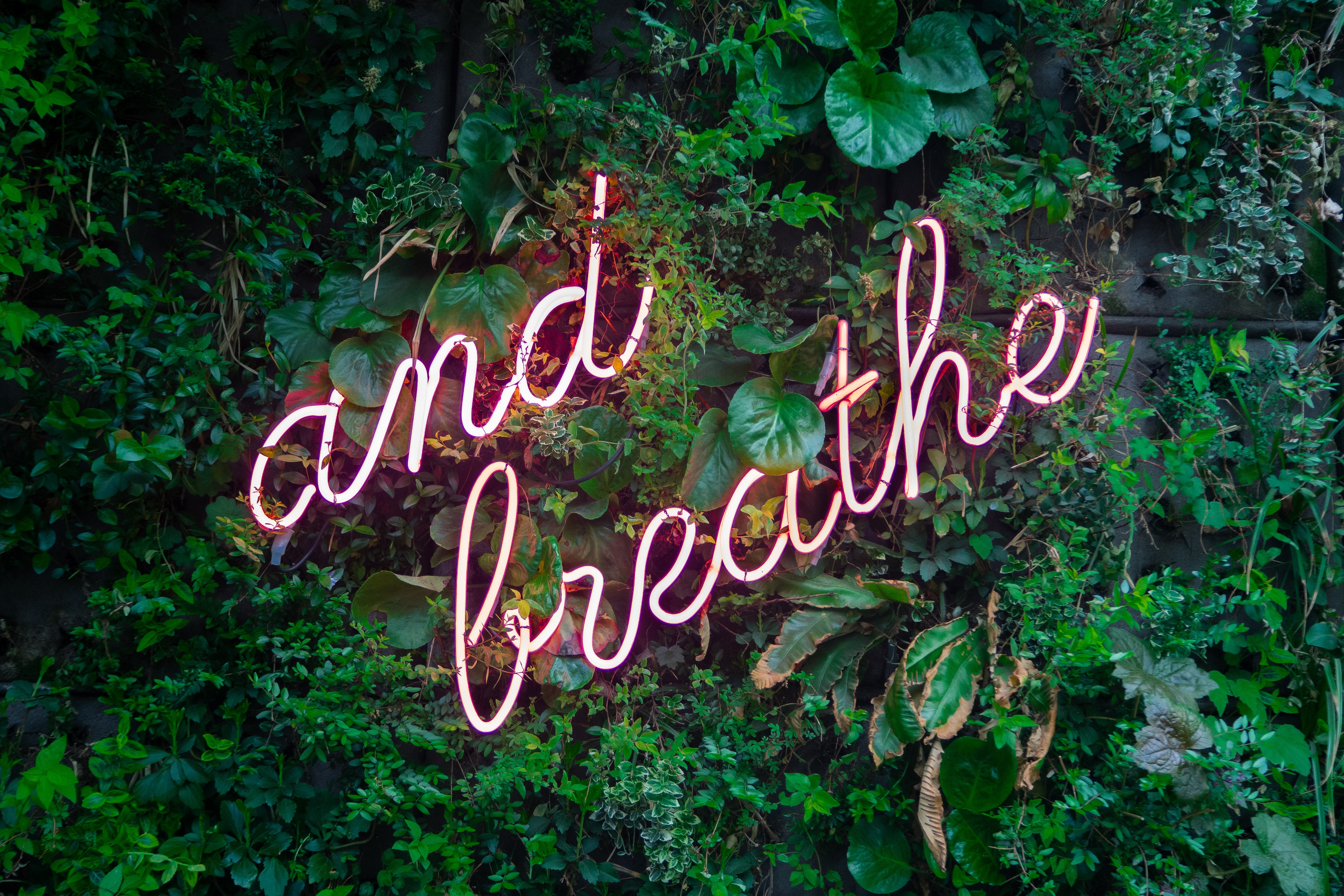 WTM 2019 – Trend Talks